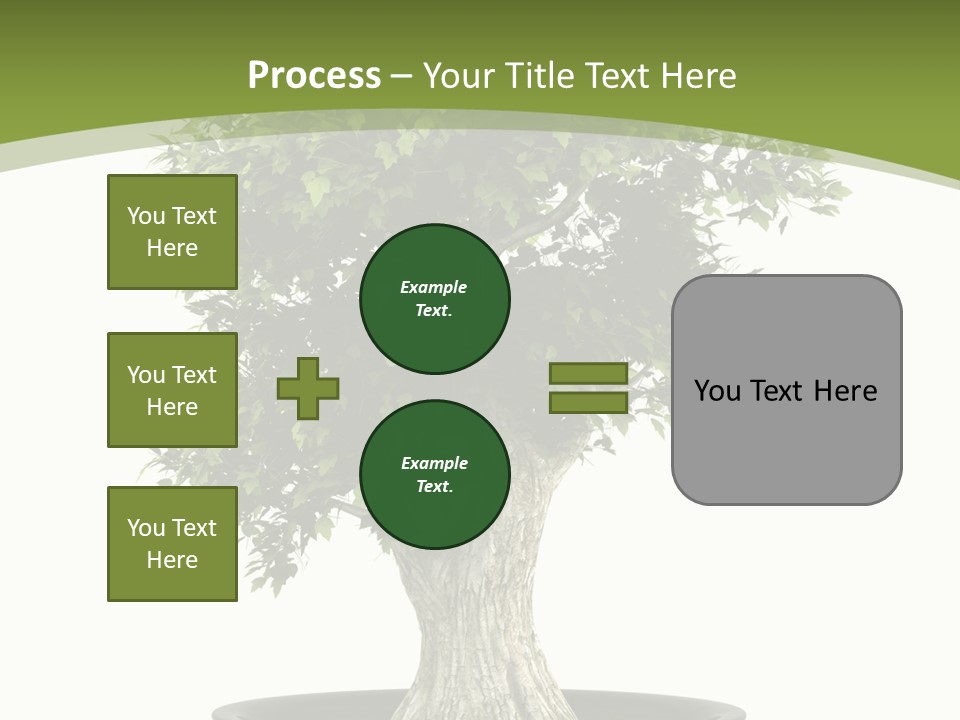 Colour Nobody Bush PowerPoint Template