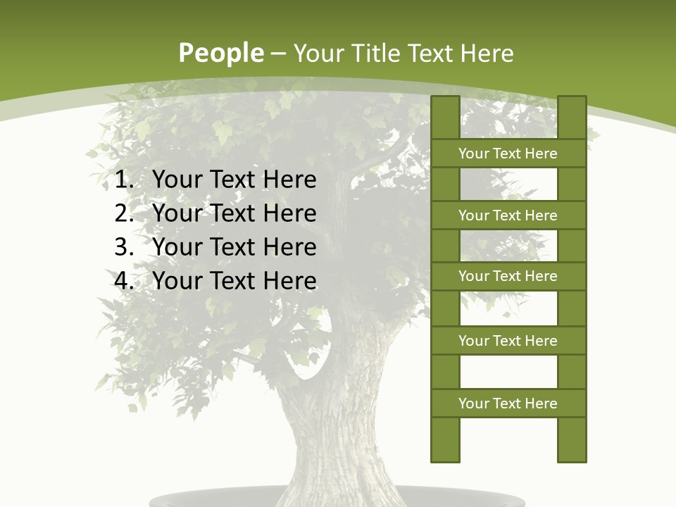 Colour Nobody Bush PowerPoint Template