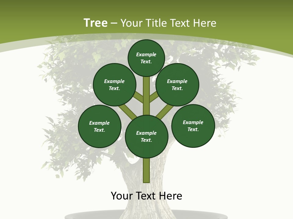 Colour Nobody Bush PowerPoint Template