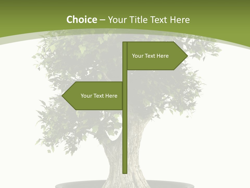 Colour Nobody Bush PowerPoint Template