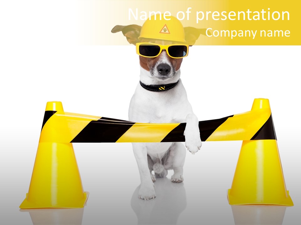 Joke Yellow Animal PowerPoint Template