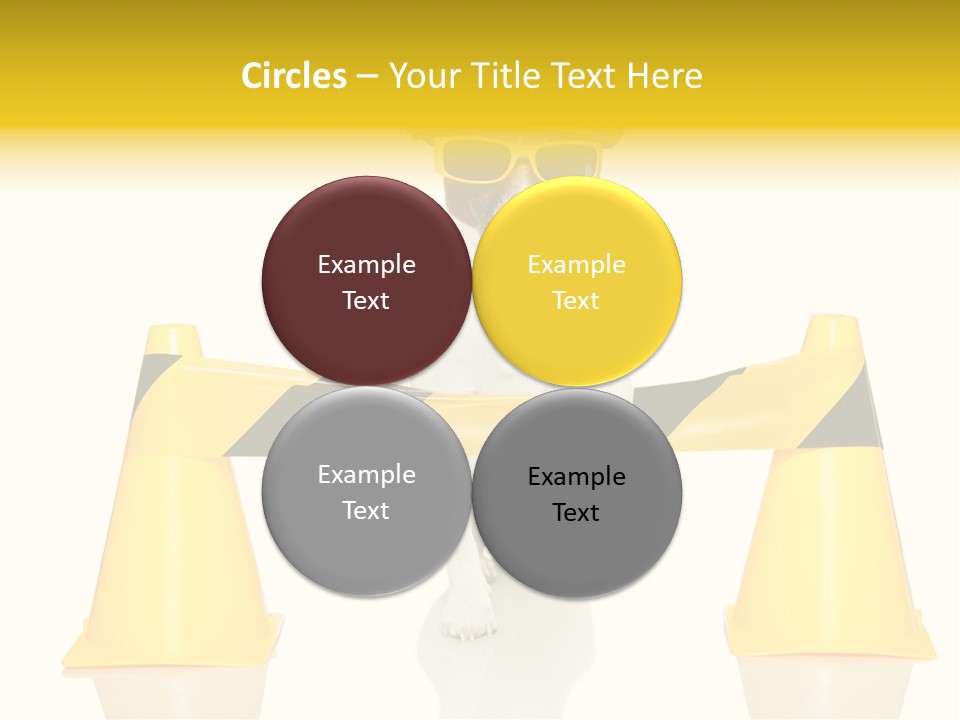 Joke Yellow Animal PowerPoint Template