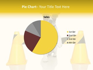 Joke Yellow Animal PowerPoint Template