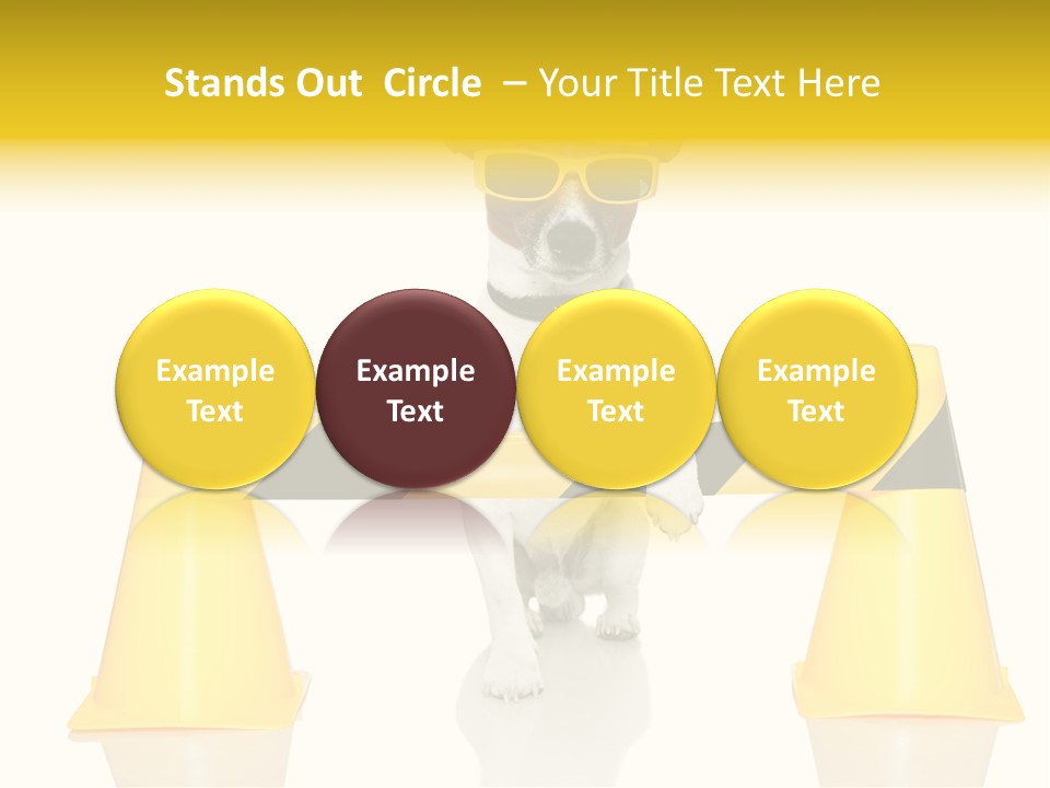 Joke Yellow Animal PowerPoint Template