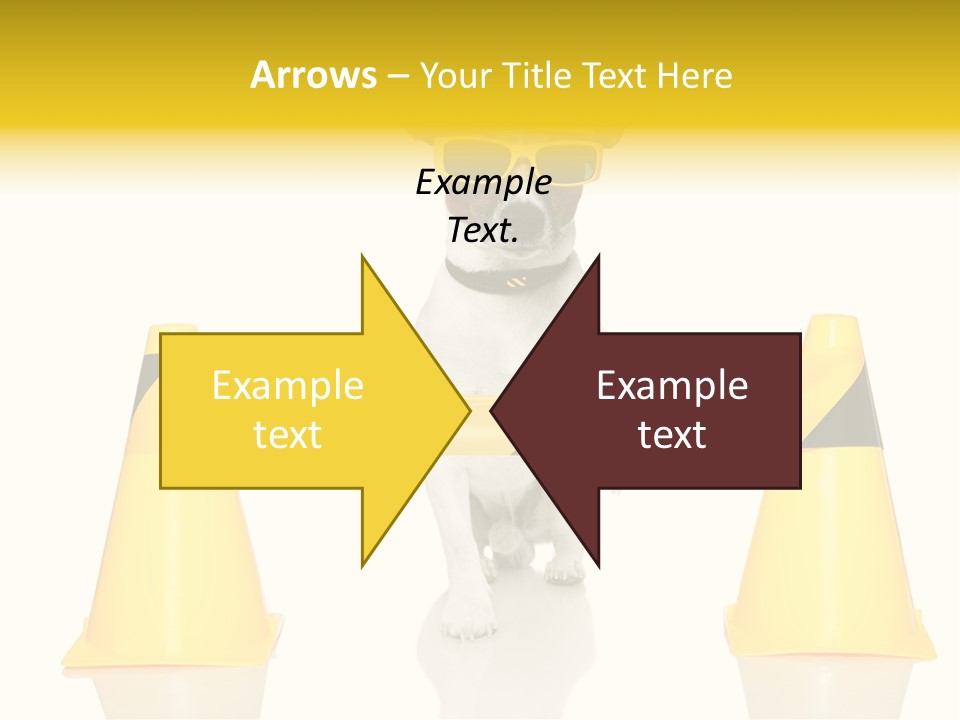 Joke Yellow Animal PowerPoint Template