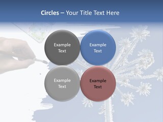 Dive Flipper Sport PowerPoint Template