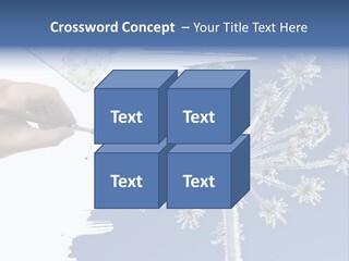 Dive Flipper Sport PowerPoint Template