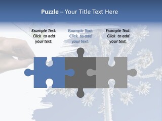 Dive Flipper Sport PowerPoint Template