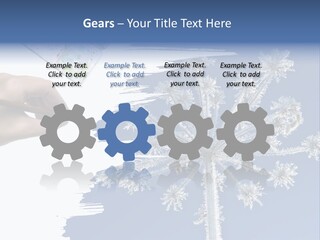 Dive Flipper Sport PowerPoint Template