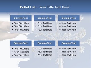 Dive Flipper Sport PowerPoint Template
