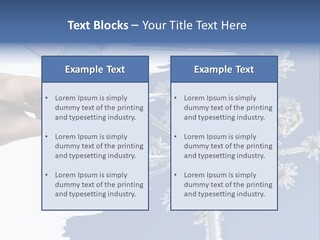 Dive Flipper Sport PowerPoint Template
