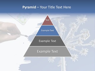 Dive Flipper Sport PowerPoint Template