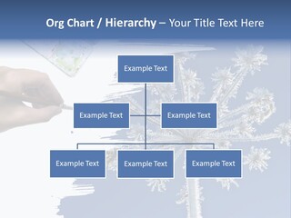 Dive Flipper Sport PowerPoint Template