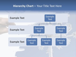 Dive Flipper Sport PowerPoint Template