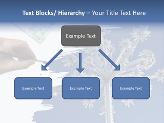 Dive Flipper Sport PowerPoint Template