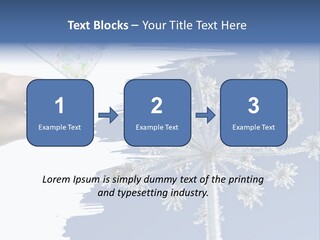 Dive Flipper Sport PowerPoint Template