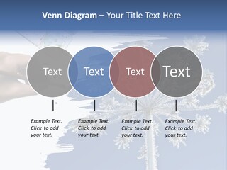 Dive Flipper Sport PowerPoint Template