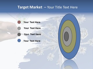 Dive Flipper Sport PowerPoint Template