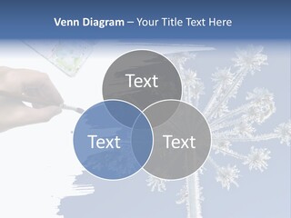 Dive Flipper Sport PowerPoint Template