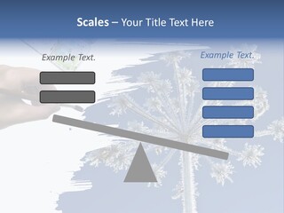 Dive Flipper Sport PowerPoint Template