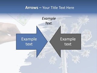 Dive Flipper Sport PowerPoint Template