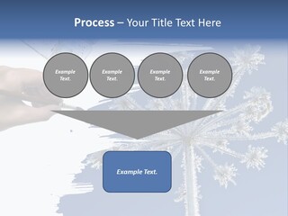 Dive Flipper Sport PowerPoint Template