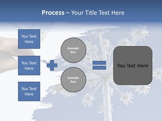 Dive Flipper Sport PowerPoint Template