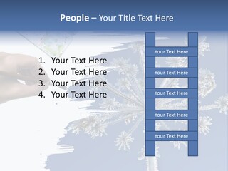 Dive Flipper Sport PowerPoint Template