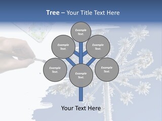 Dive Flipper Sport PowerPoint Template