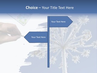 Dive Flipper Sport PowerPoint Template