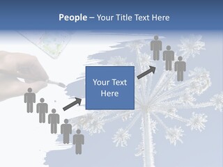 Dive Flipper Sport PowerPoint Template