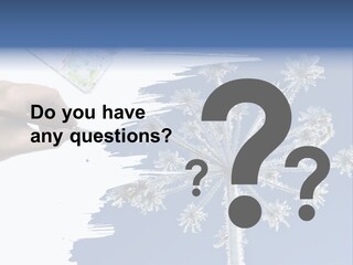 Dive Flipper Sport PowerPoint Template