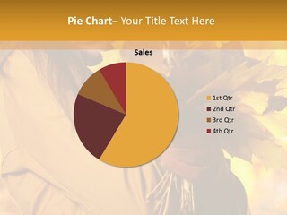 City Single One PowerPoint Template