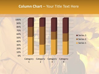 City Single One PowerPoint Template