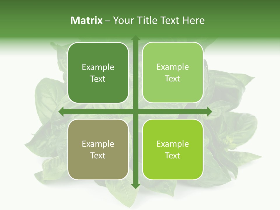 Ingredient Isolated Herb PowerPoint Template