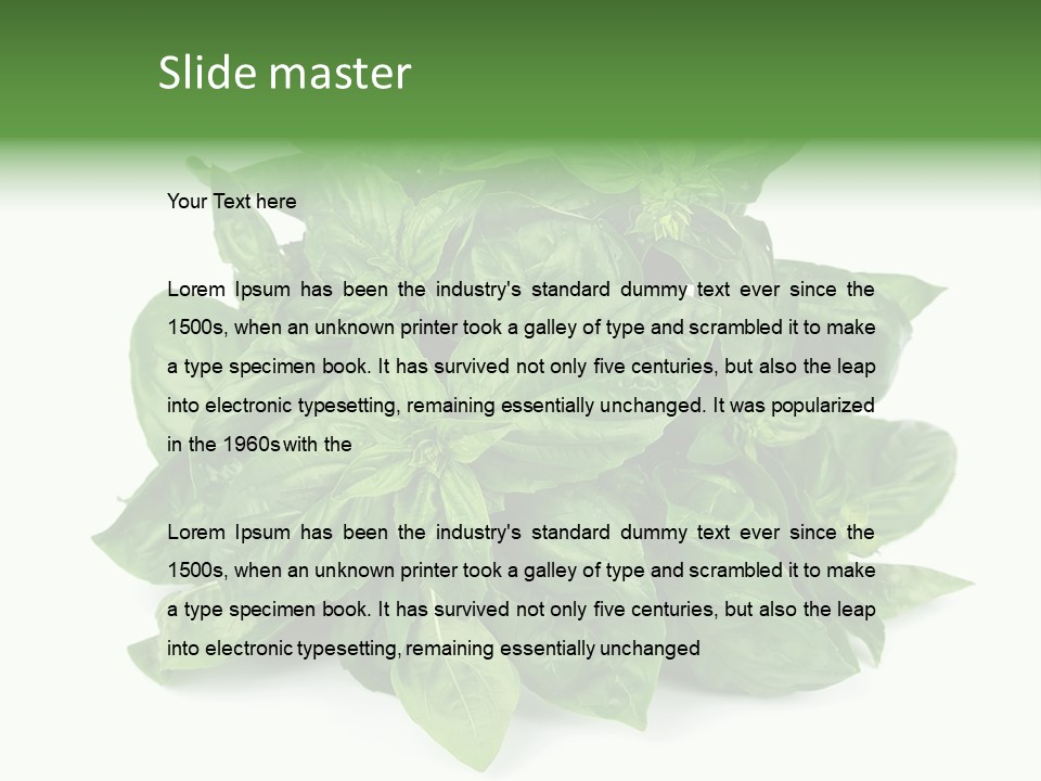 Ingredient Isolated Herb PowerPoint Template