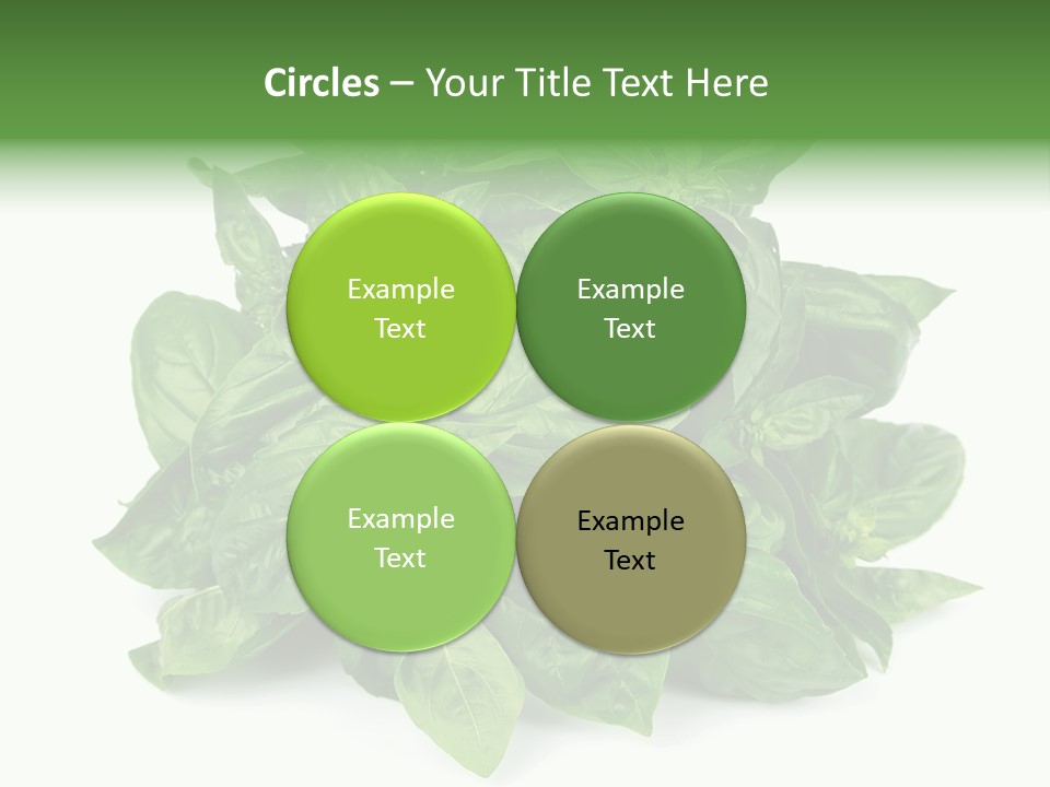 Ingredient Isolated Herb PowerPoint Template