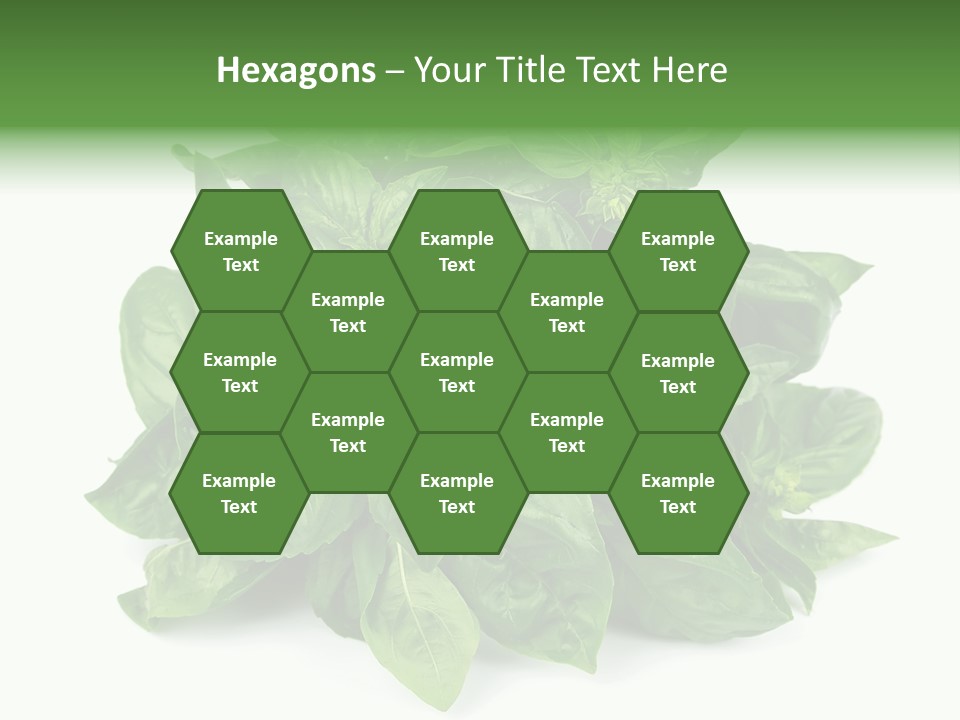 Ingredient Isolated Herb PowerPoint Template