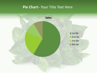 Ingredient Isolated Herb PowerPoint Template