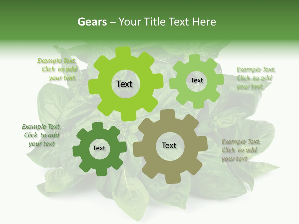 Ingredient Isolated Herb PowerPoint Template