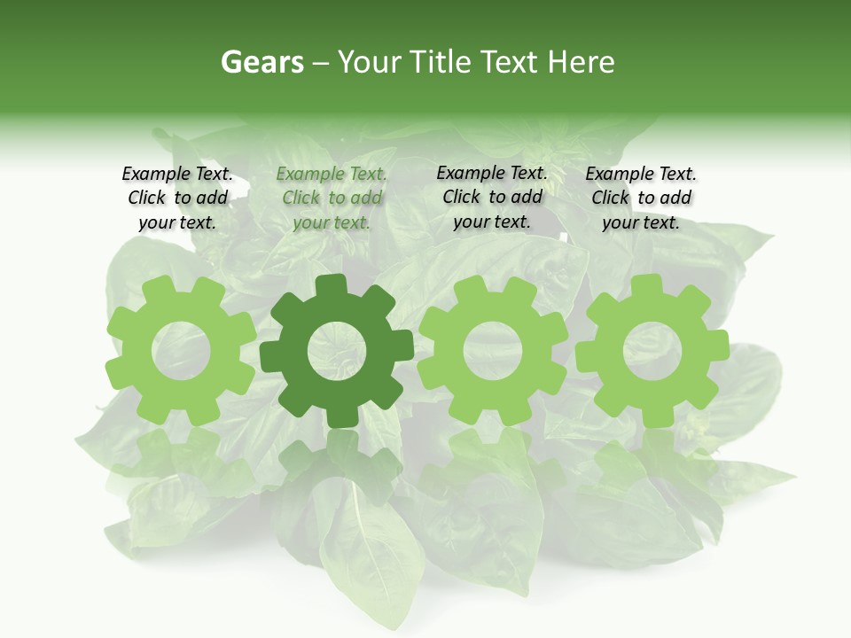 Ingredient Isolated Herb PowerPoint Template