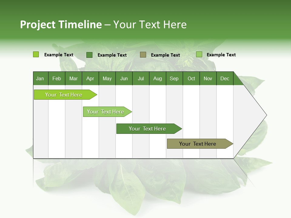Ingredient Isolated Herb PowerPoint Template
