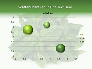 Ingredient Isolated Herb PowerPoint Template