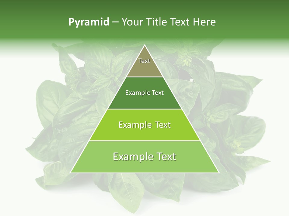 Ingredient Isolated Herb PowerPoint Template