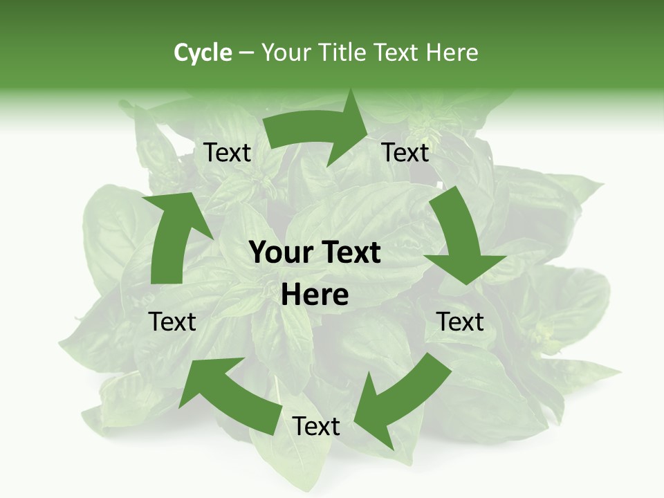 Ingredient Isolated Herb PowerPoint Template