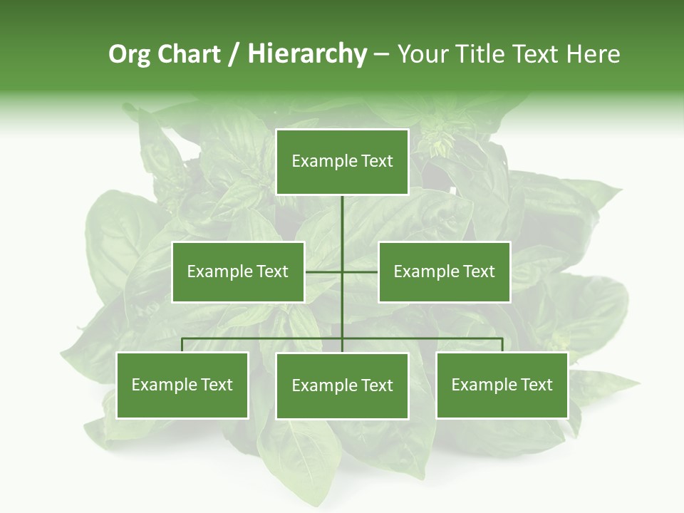 Ingredient Isolated Herb PowerPoint Template