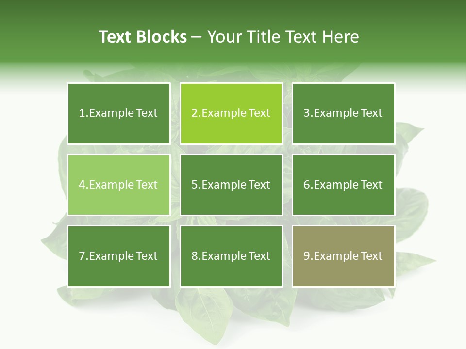 Ingredient Isolated Herb PowerPoint Template