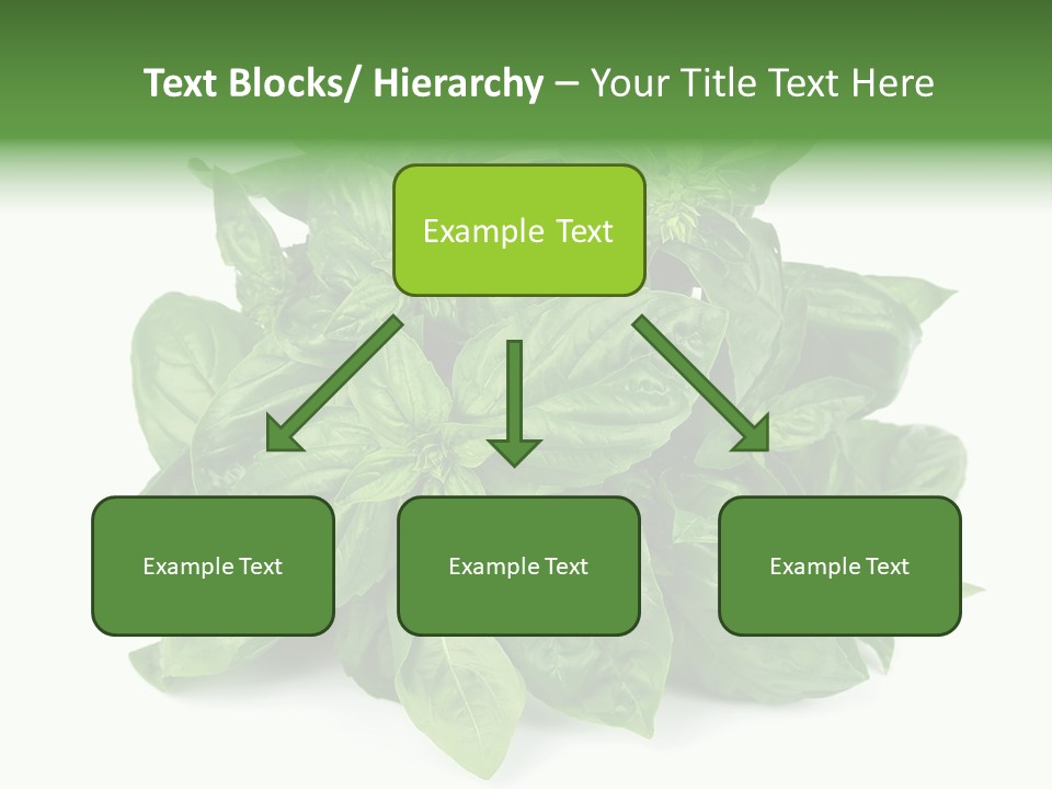 Ingredient Isolated Herb PowerPoint Template