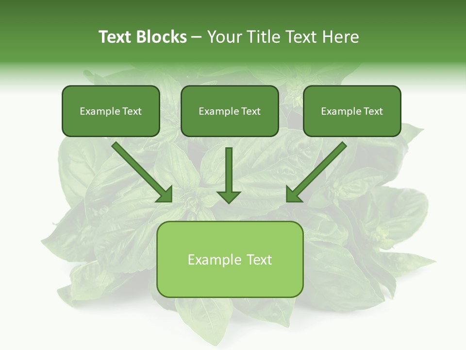 Ingredient Isolated Herb PowerPoint Template