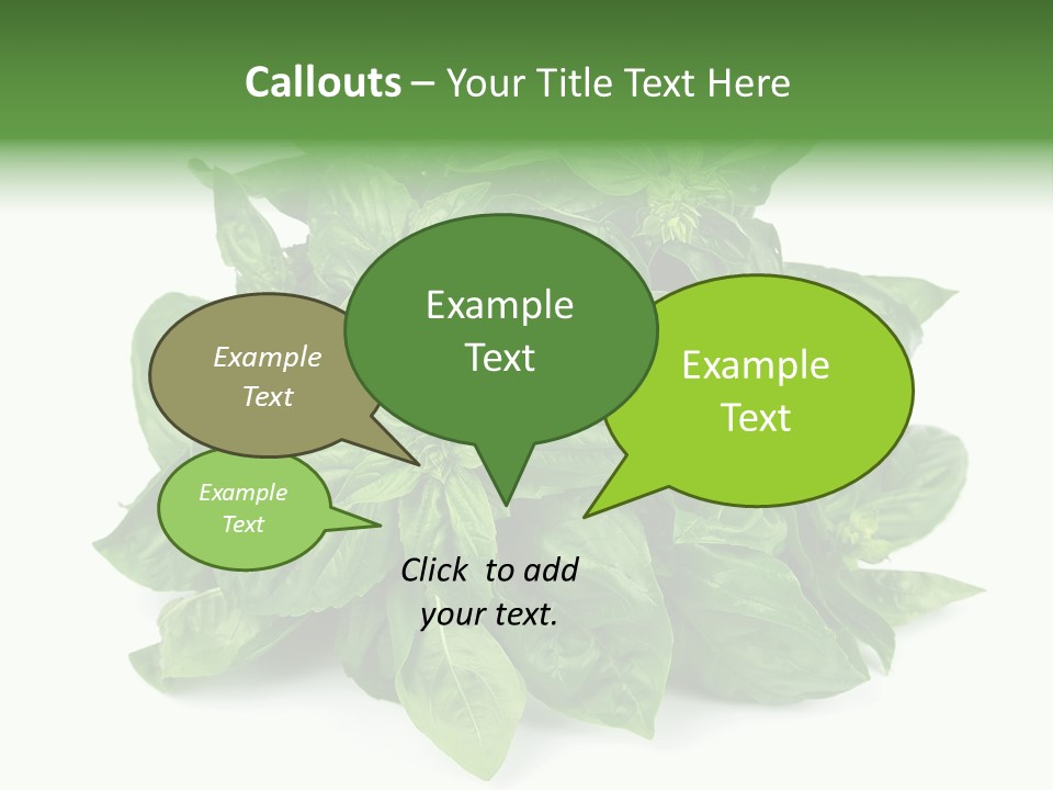 Ingredient Isolated Herb PowerPoint Template